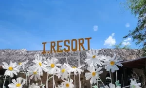 top-10-dia-chi-xoa-bop